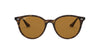 Ray-Ban RB4305 Dark-Tortoise-Brown-Polarised #colour_dark-tortoise-brown-polarised