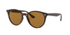 Ray-Ban RB4305 Dark-Tortoise-Brown-Polarised #colour_dark-tortoise-brown-polarised