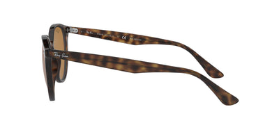 Ray-Ban RB4305 Dark-Tortoise-Brown-Polarised #colour_dark-tortoise-brown-polarised