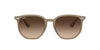 Ray-Ban RB4306 Brown/Brown Gradient #colour_brown-brown-gradient