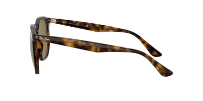 Ray-Ban RB4306 Dark-Tortoise-Brown #colour_dark-tortoise-brown