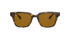 Ray-Ban RB4323 Dark Tortoise/Brown #colour_dark-tortoise-brown