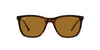 Ray-Ban RB4344 Dark-Tortoise-Brown #colour_dark-tortoise-brown