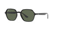 Ray-Ban Elon RB4361