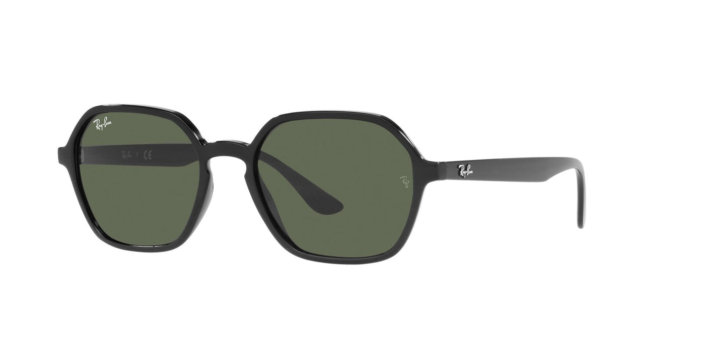 Ray-Ban Elon RB4361 Black-Green #colour_black-green