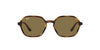 Ray-Ban Elon RB4361 Dark-Tortoise-Brown #colour_dark-tortoise-brown