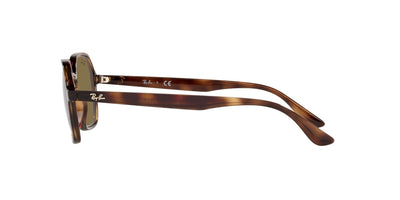 Ray-Ban Elon RB4361 Dark-Tortoise-Brown #colour_dark-tortoise-brown