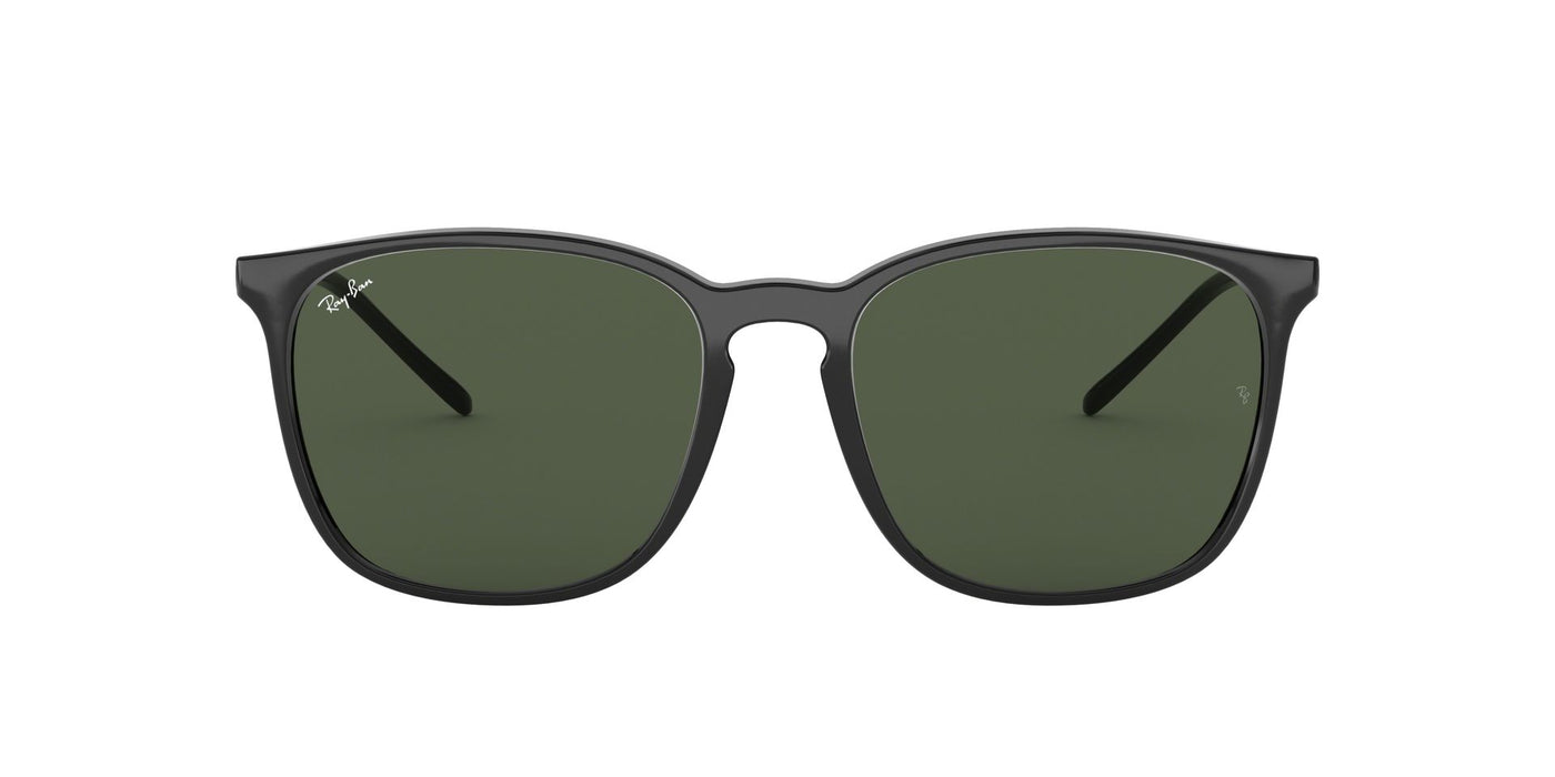 Ray-Ban RB4387 Black-Green #colour_black-green