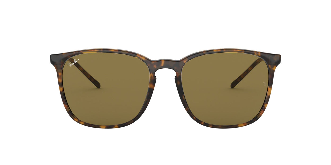 Ray-Ban RB4387 Dark-Tortoise-Brown #colour_dark-tortoise-brown