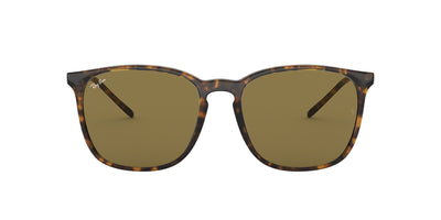 Ray-Ban RB4387 Dark-Tortoise-Brown #colour_dark-tortoise-brown