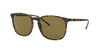 Ray-Ban RB4387 Dark-Tortoise-Brown #colour_dark-tortoise-brown