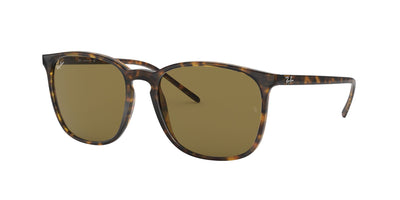 Ray-Ban RB4387 Dark-Tortoise-Brown #colour_dark-tortoise-brown