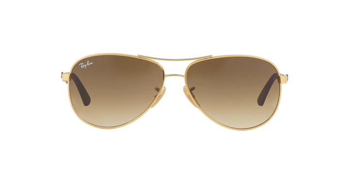 Ray-Ban RB8313 Sunglasses | Fashion Eyewear US