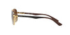 Ray-Ban RB8313 Gold-Brown #colour_gold-brown