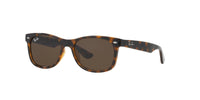 Dark Tortoise/Brown / 47