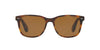 Ralph Lauren RL8162P Dark Tortoise/Brown #colour_dark-tortoise-brown