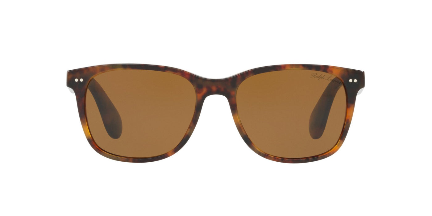 Ralph Lauren RL8162P Dark Tortoise/Brown #colour_dark-tortoise-brown