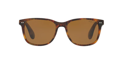 Ralph Lauren RL8162P Dark Tortoise/Brown #colour_dark-tortoise-brown