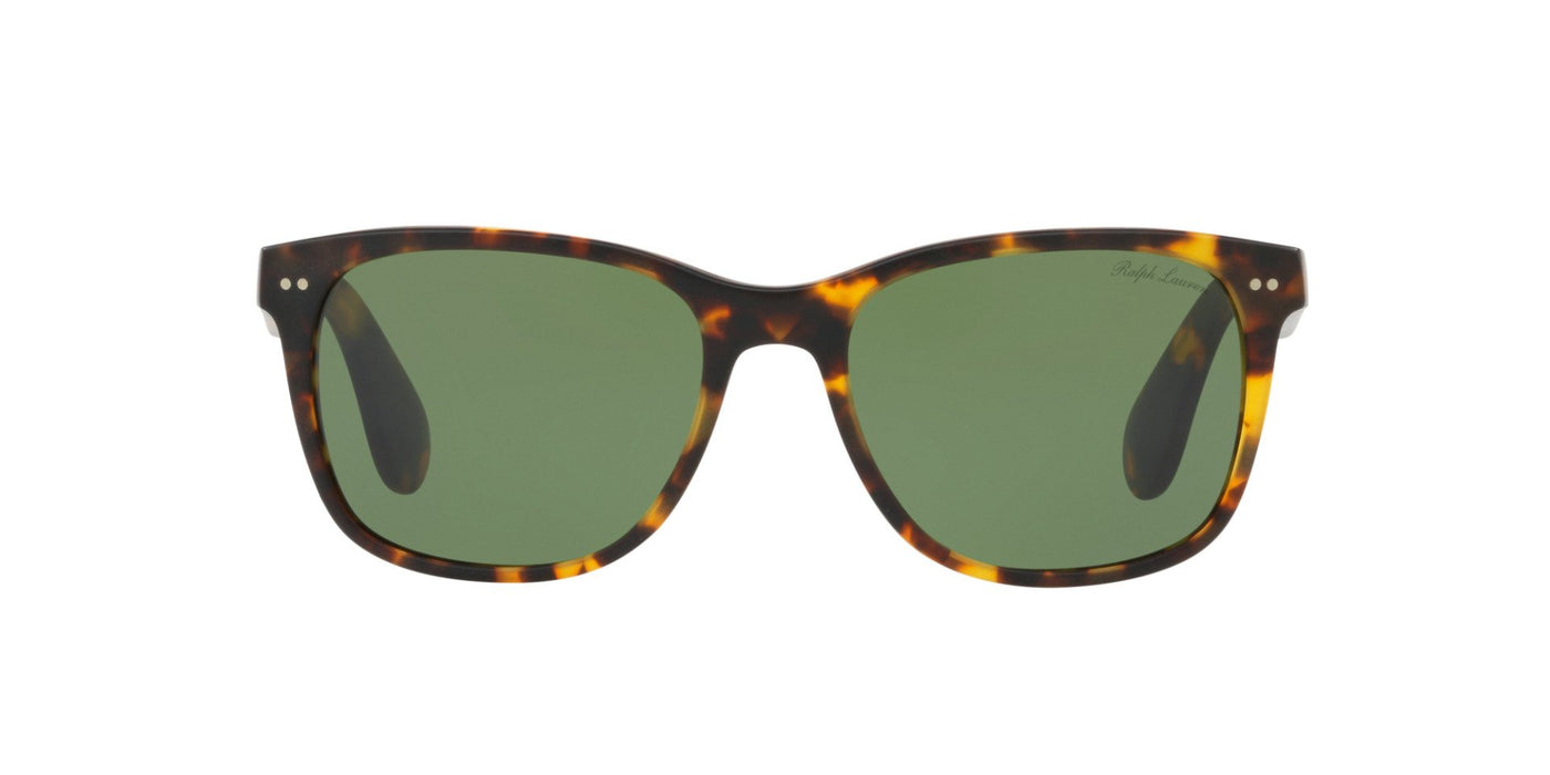 Ralph Lauren RL8162P Dark Tortoise/Green #colour_dark-tortoise-green