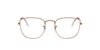 Ray-Ban RB3857V Brown #colour_brown