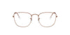 Ray-Ban RB3857V Brown #colour_brown