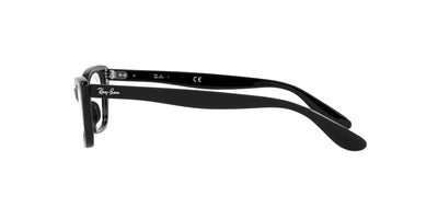 Ray-Ban Lady Burbank RB5499 Black #colour_black