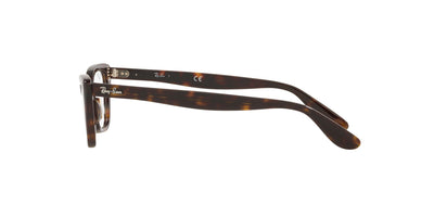 Ray-Ban Lady Burbank RB5499 Havana #colour_havana