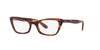 Ray-Ban Lady Burbank RB5499 Dark Tortoise 1 #colour_dark-tortoise-1