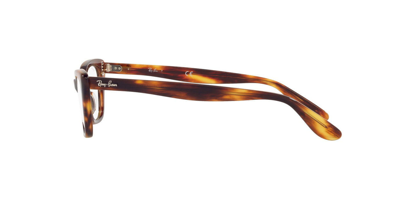Ray-Ban Lady Burbank RB5499 Dark Tortoise 1 #colour_dark-tortoise-1