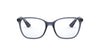Ray-Ban RB7066 Violet #colour_violet