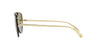 Versace VE2231 Gold-Grey #colour_gold-grey
