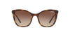 Vogue VO5243SB Dark Tortoise/Brown Gradient #colour_dark-tortoise-brown-gradient