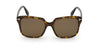 Tom Ford Faye-02 TF788 Dark-Tortoise-Brown-Polarised #colour_dark-tortoise-brown-polarised