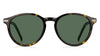 Tommy Hilfiger TH1673/S Dark-Tortoise-Green #colour_dark-tortoise-green