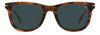 David Beckham DB1113/S Brown Horn/Blue #colour_brown-horn-blue