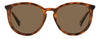 Polaroid PLD4143/S/X Havana/Bronze Polarised #colour_havana-bronze-polarised