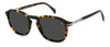 David Beckham DB1115/S Havana/Grey #colour_havana-grey