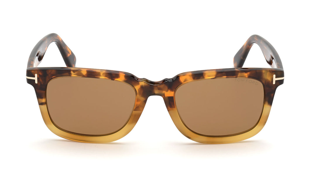 Tom Ford Dario TF817 Sunglasses | Fashion Eyewear AU