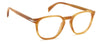David Beckham DB1106 Havana Honey #colour_havana-honey