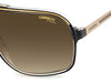 Carrera Grand Prix 3 Black-Gold/Brown #colour_black-gold-brown