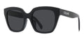 CELINE Monochroms CL40198F