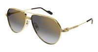 #colour_gold-grey