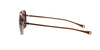 #colour_gold-sand-copperhead-brown-polarised-land-brown