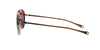 #colour_gold-sand-copperhead-brown-polarised-land-brown