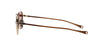 #colour_gold-sand-copperhead-brown-polarised-land-brown