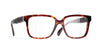 #colour_tortoise