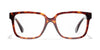 #colour_tortoise