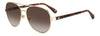 #colour_gold-havana-brown-gradient