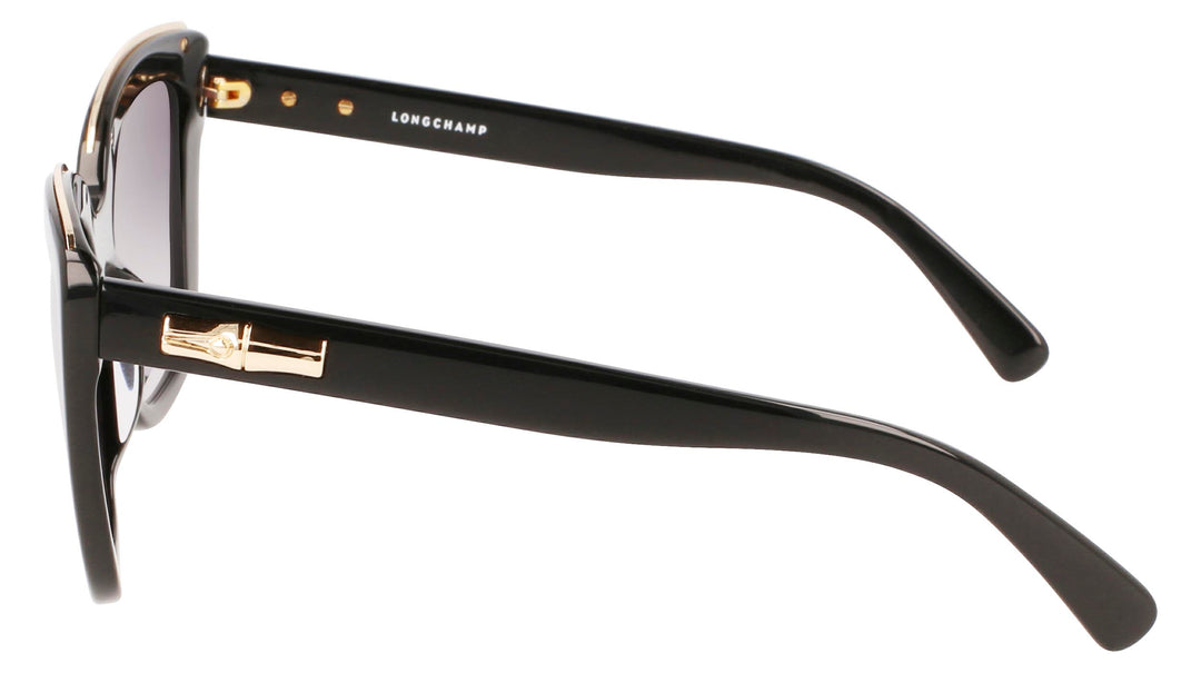 Longchamp LO692S Square Sunglasses | Fashion Eyewear US display picture 1