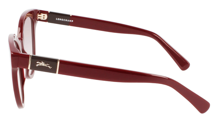 NWT Longchamp LO697S Round 53mm Sunglasses LONGCHAMP LO697S 701 Striped Honey Womens Gradient  main image 3